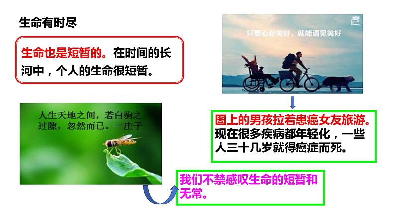 8.1+生命可以永恒吗+课件-2023-2024学年统编版道德与法治七年级上册 (4)第7页