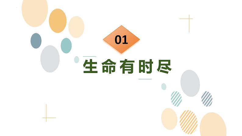 8.1+生命可以永恒吗+课件-2023-2024学年统编版道德与法治七年级上册 (3)04