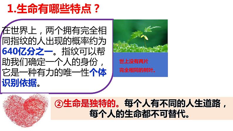 8.1+生命可以永恒吗+课件-2023-2024学年统编版道德与法治七年级上册 (2)第5页