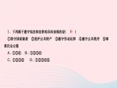 2024八年级道德与法治下册第二单元理解权利义务第四课公民义务第1框公民基本义务作业课件新人教版