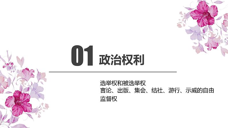 3.1 公民基本权利第6页