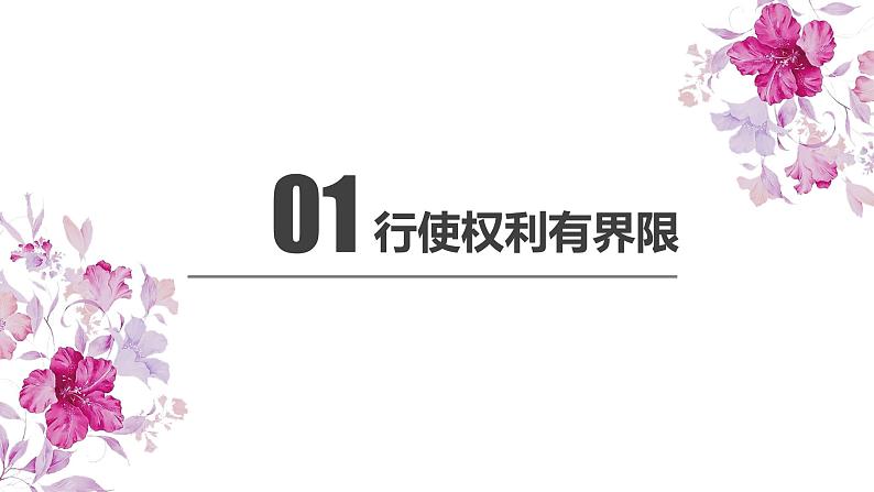 【部编版】八下道法  3.2 依法行使权利（课件+核心素养教案+视频素材）05