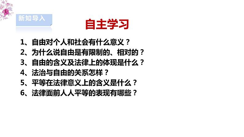 【部编版】八下道法  7.1自由平等的真谛（课件+核心素养教案+视频素材）03