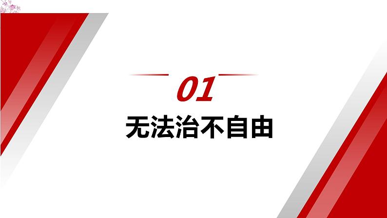 【部编版】八下道法  7.1自由平等的真谛（课件+核心素养教案+视频素材）07