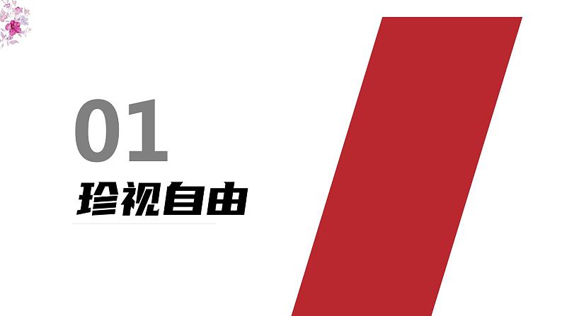 【部编版】八下道法  7.2自由平等的追求（课件+核心素养教案+视频素材）05