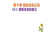 10.1+感受生命的意义+课件-2023-2024学年统编版道德与法治七年级上册 (2)