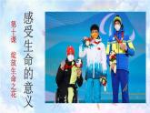 10.1+感受生命的意义+课件-2023-2024学年统编版道德与法治七年级上册