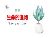 10.1+感受生命的意义+课件-2023-2024学年统编版道德与法治七年级上册