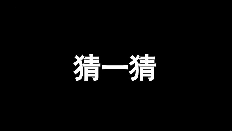 2.2 加强宪法监督 课件-2023-2024学年统编版道德与法治八年级下册第3页