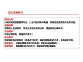 3.2 依法行使权利 课件-2023-2024学年统编版道德与法治八年级下册