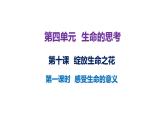10.1+感受生命的意义++课件-2023-2024学年统编版道德与法治七年级上册 - 副本