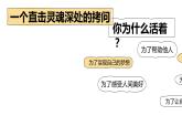 10.1+感受生命的意义++课件-2023-2024学年统编版道德与法治七年级上册 - 副本