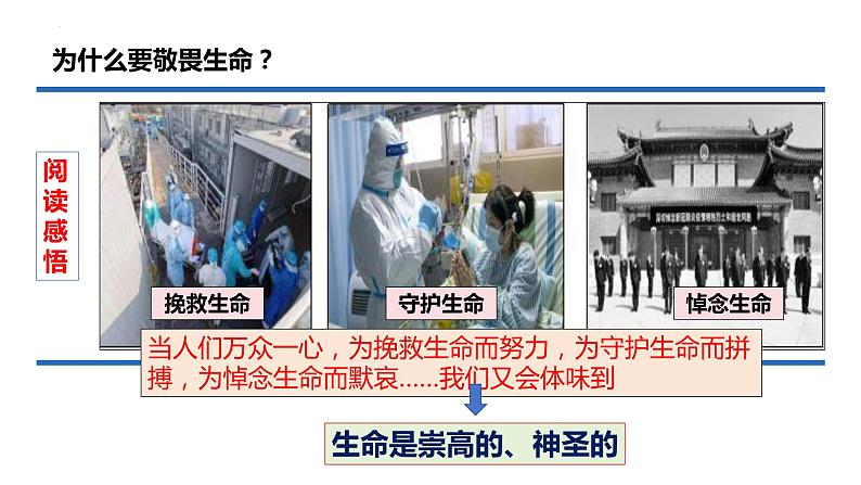 8.2+敬畏生命+课件-2023-2024学年统编版道德与法治七年级上册 (5) - 副本第8页