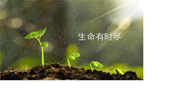 8.1+生命可以永恒吗+课件-2023-2024学年统编版道德与法治七年级上册 (2) - 副本02