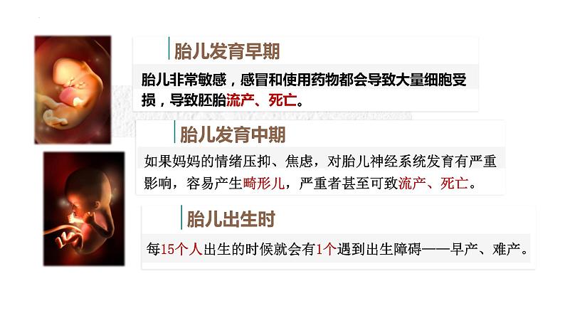 8.1+生命可以永恒吗+课件-2023-2024学年统编版道德与法治七年级上册 (2) - 副本04