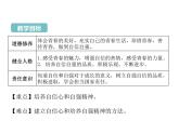 3.1+青春飞扬+课件-+2023-2024学年统编版道德与法治七年级下册