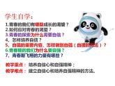 3.1+青春飞扬+课件-+2023-2024学年统编版道德与法治七年级下册