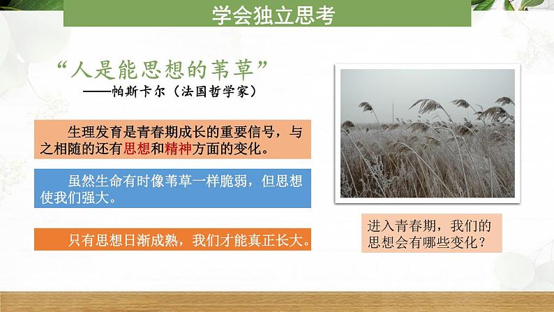 部编版初中道法7下 第一单元 青春时光1.1.2 成长的不仅仅是身体 课件+教案+导学案05