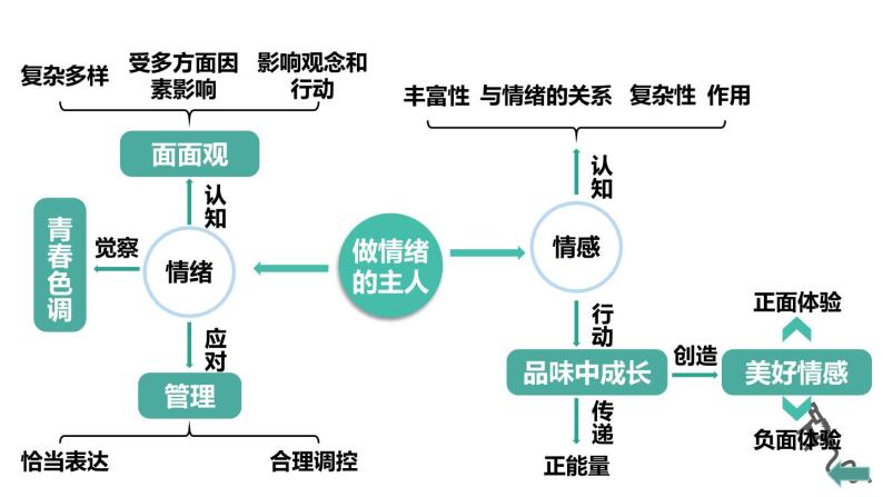 部编版初中道法7下 第二单元 做情绪情感的主人复习课件04