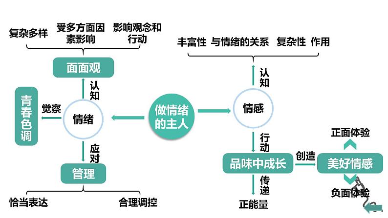 部编版初中道法7下 第二单元 做情绪情感的主人复习课件第4页