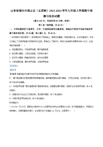 53，山东省烟台市福山区（五四制）2023-2024学年九年级上学期期中道德与法治试题