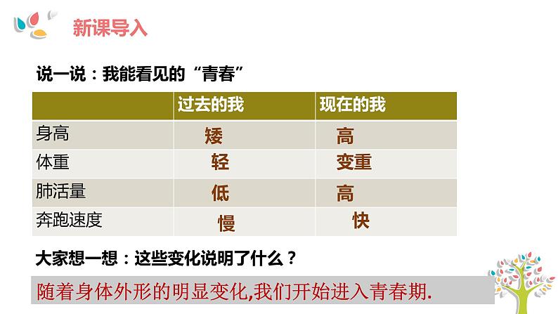 1.1 悄悄变化的我 课件-2023-2024学年统编版道德与法治七年级下册第4页