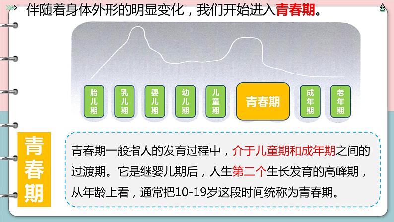 1.1 悄悄变化的我 课件-2023-2024学年统编版道德与法治七年级下册(1)第7页