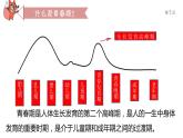 1.1 悄悄变化的我 课件-2023-2024学年统编版道德与法治七年级下册(3)