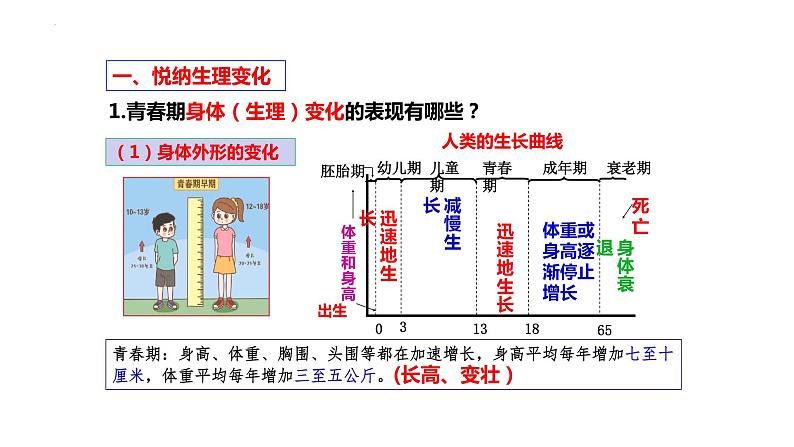 1.1 悄悄变化的我 课件-2023-2024学年统编版道德与法治七年级下册(3)第7页