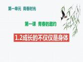 1.2 成长的不仅仅是身体   课件-2023-2024学年统编版道德与法治七年级下册 (3)