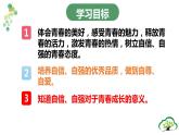 3.1  青春飞扬  课件-2023-2024学年统编版道德与法治七年级下册