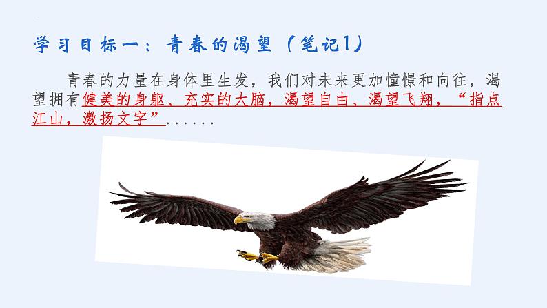 3.1 青春飞扬 课件- 2023-2024学年统编版道德与法治七年级下册第6页