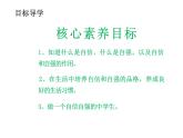 3.1+青春飞扬+课件+2023-2024学年统编版道德与法治七年级下册