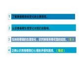 1.1+悄悄变化的我++课件-2023-2024学年统编版道德与法治七年级下册