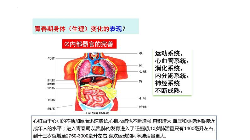 1.1+悄悄变化的我++课件-2023-2024学年统编版道德与法治七年级下册 (2)第7页