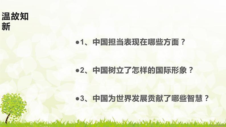 部编版九年级下册道德与法治3.2《与世界深度互动》课件第3页