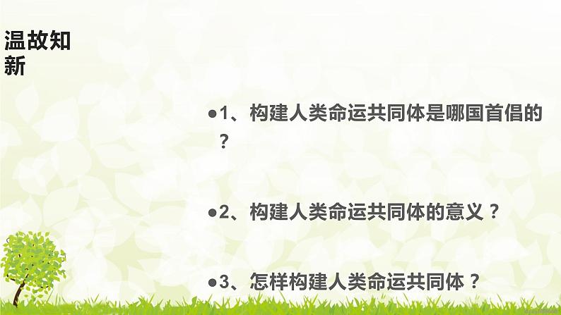 部编版九年级下册道德与法治3.1《中国的担当》课件第3页