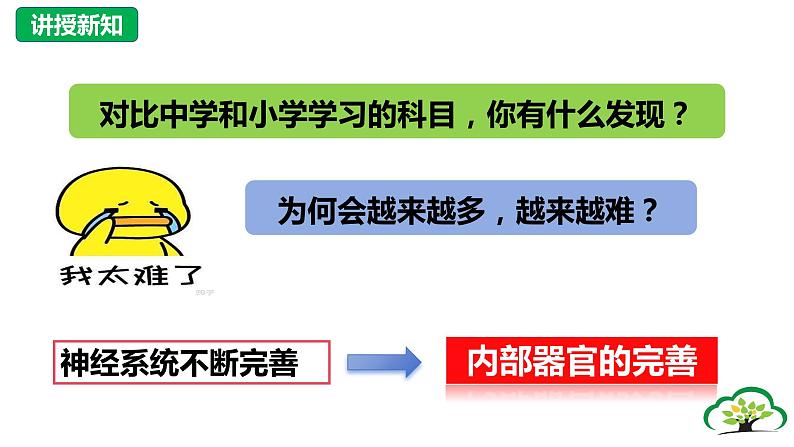 1.1+悄悄变化的我+课件-2023-2024学年统编版道德与法治七年级下册 (5)第7页