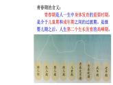 1.1+悄悄变化的我+课件-2023-2024学年统编版道德与法治七年级下册 (4)