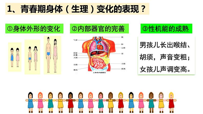 1.1+悄悄变化的我+课件-2023-2024学年统编版道德与法治七年级下册 (4)第5页