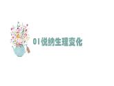 1.1+悄悄变化的我+课件-2023-2024学年统编版道德与法治七年级下册 (3)