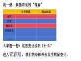 1.1+悄悄变化的我+课件-2023-2024学年统编版道德与法治七年级下册 (3)