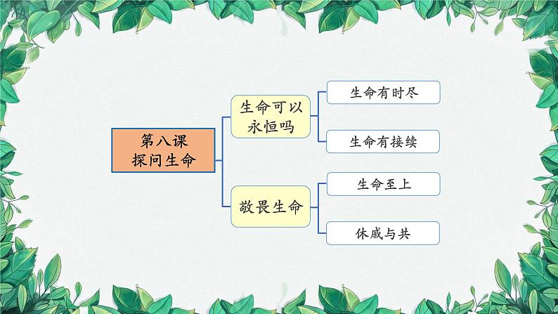 部编版道德与法治七年级上册 专题-生命的思考课件第6页