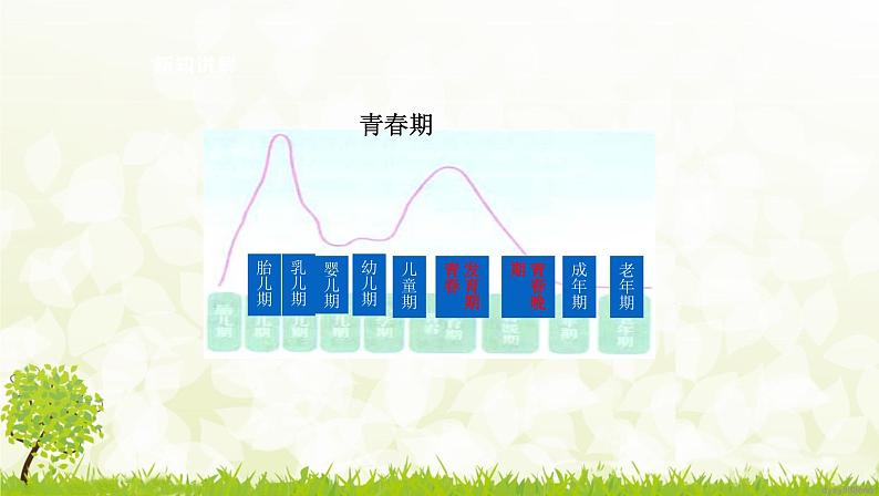 部编版七年级下册道德与法治第一单元1.1《悄悄变化的我》课件第7页