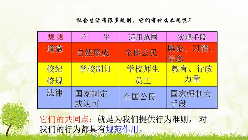 部编版七年级下册道德与法治第四单元9.2《法律保障生活》课件第8页