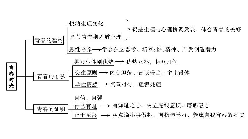 2024七年级道德与法治下册第一单元青春时光期末专题复习作业课件新人教版第3页