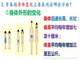 1.1+悄悄变化的我+课件-2023-2024学年统编版道德与法治七年级下册