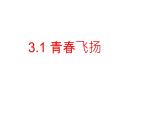 3.1+青春飞扬+课件2023-2024学年统编版道德与法治七年级下册 (2)