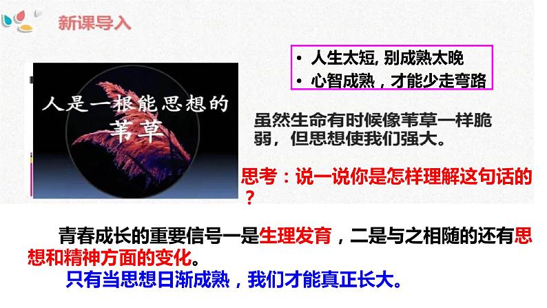 1.2+成长的不仅仅是身体+课件-2023-2024学年统编版道德与法治七年级下册 (4)03