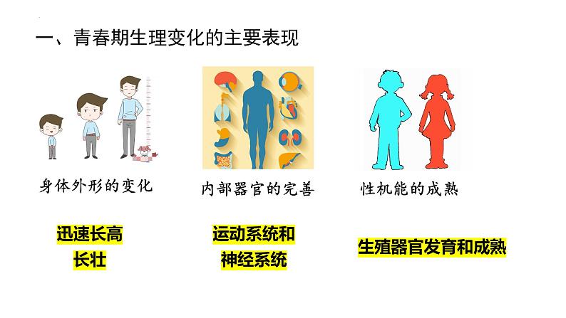 1.1悄悄变化的我++课件-2023-2024学年统编版道德与法治七年级下册第4页